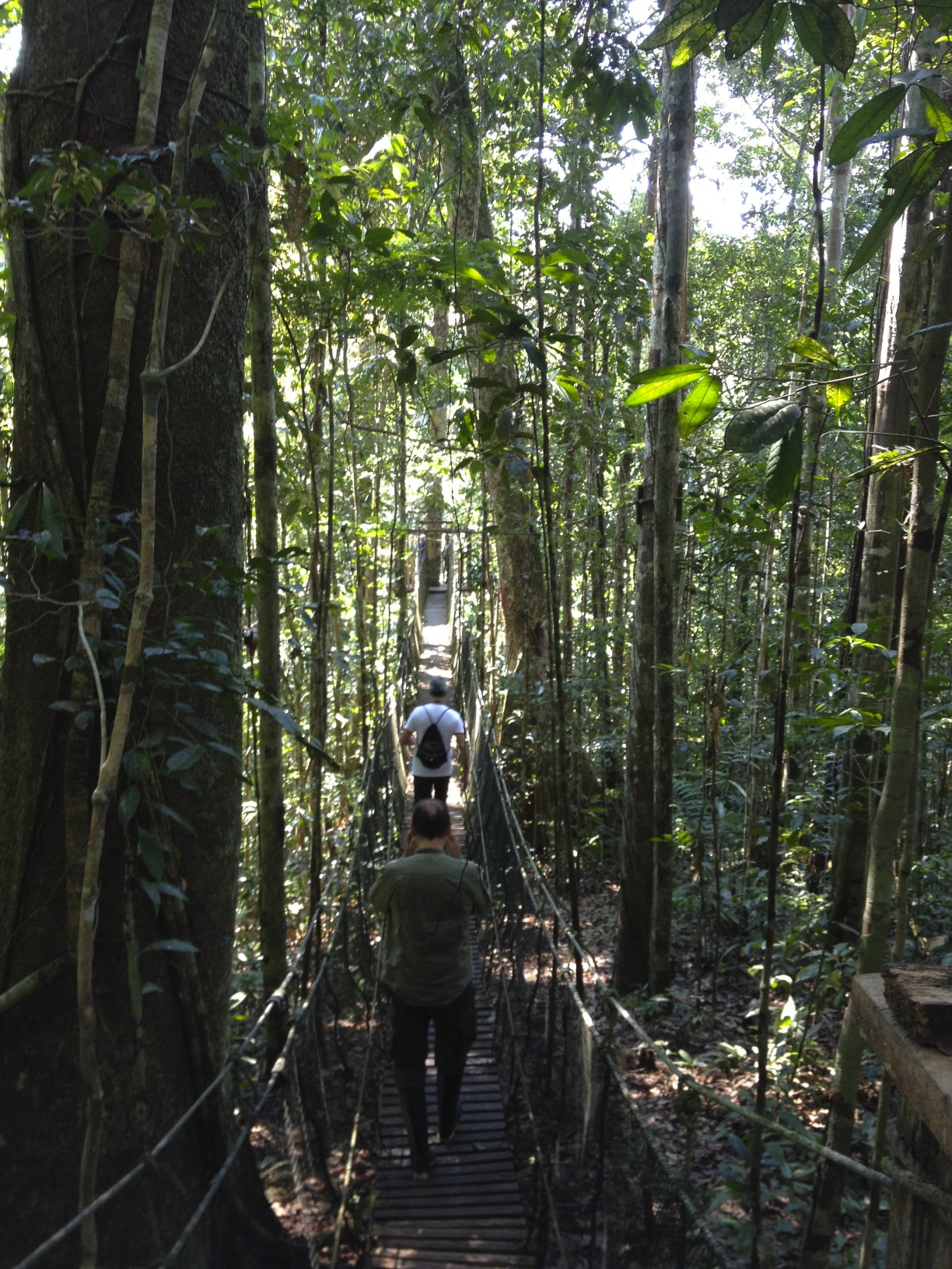 4 Days / 3 Nights On The Delfin I Luxury Amazon River Cruise 2 Delfin ropebridge