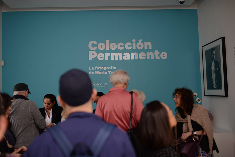 MATE Permanent Collection blogfeatured