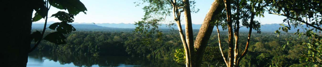 Madidi-featured