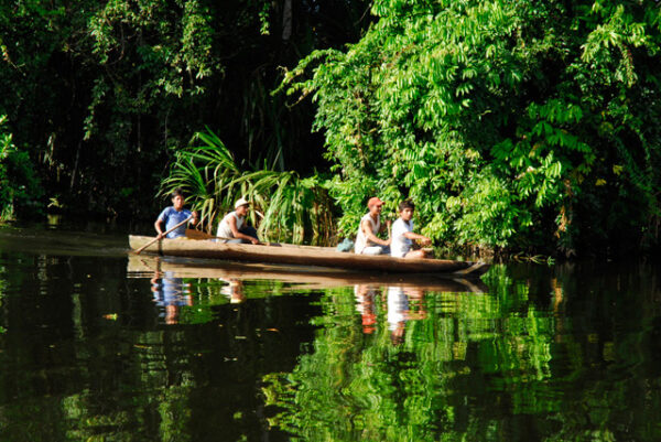 Amazon Rainforest