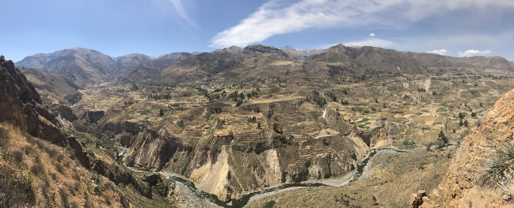 colca canyon condors
