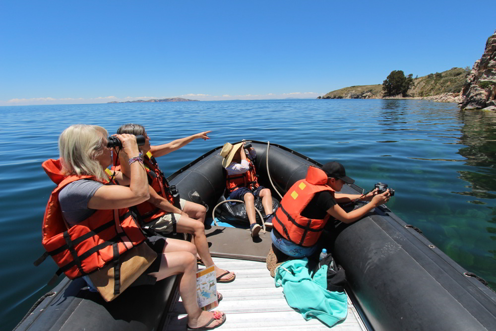 Bird-watching-suasi-island