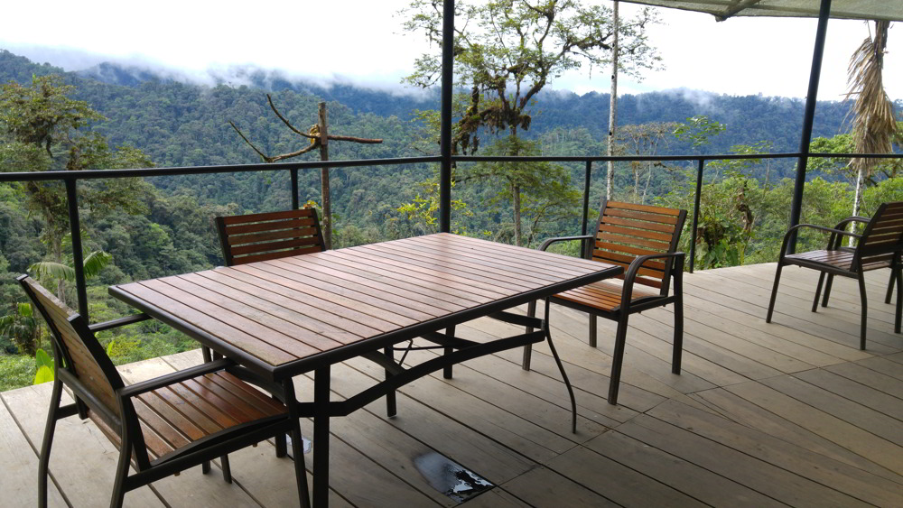 Mashpi Lodge Ecuador - view of the cloud forest from the deck