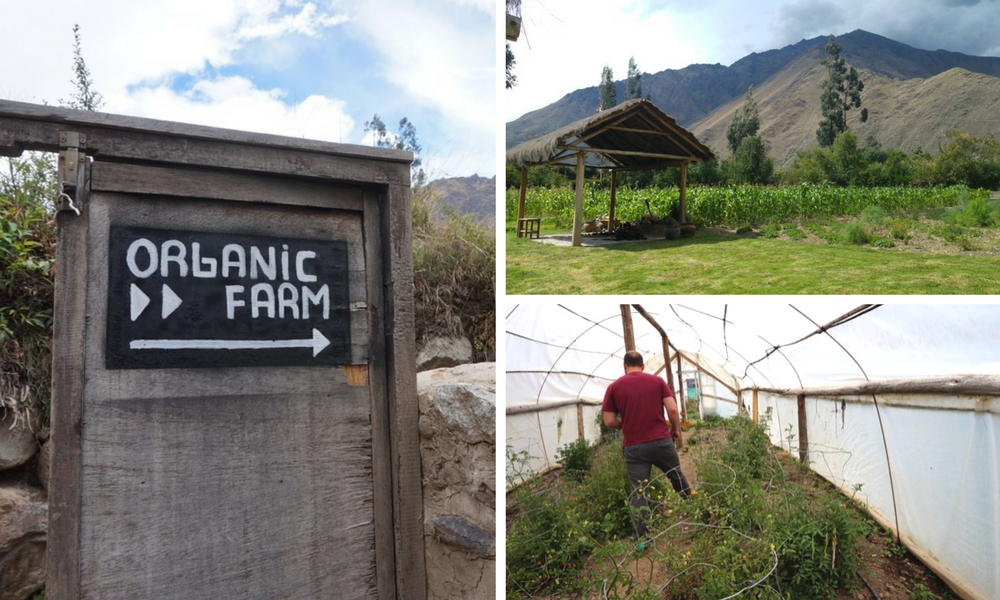 pacamanca-lunch-on-the-organic-farm