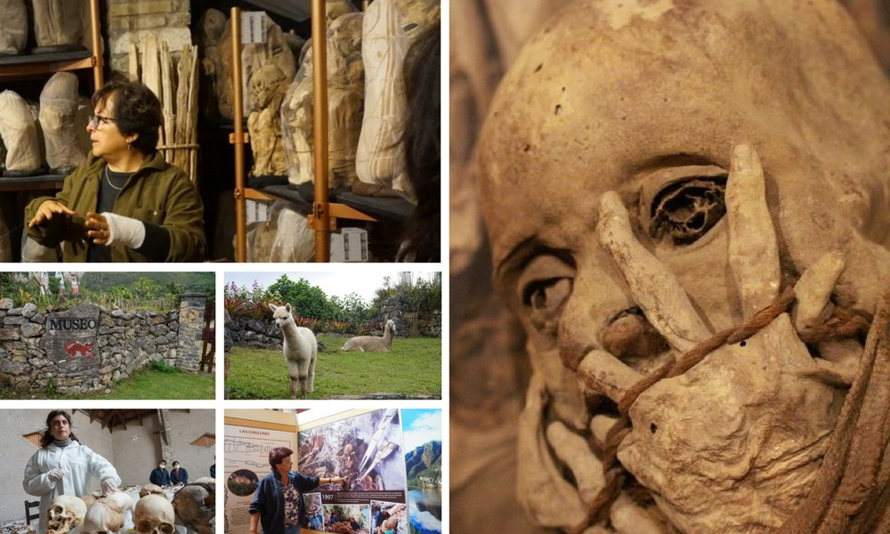 A selection of images from Leymebamba Museum