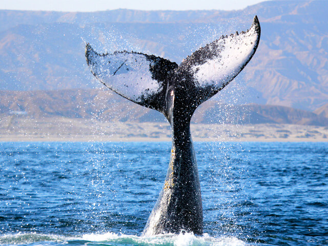 Top 10 things to do in Peru 4