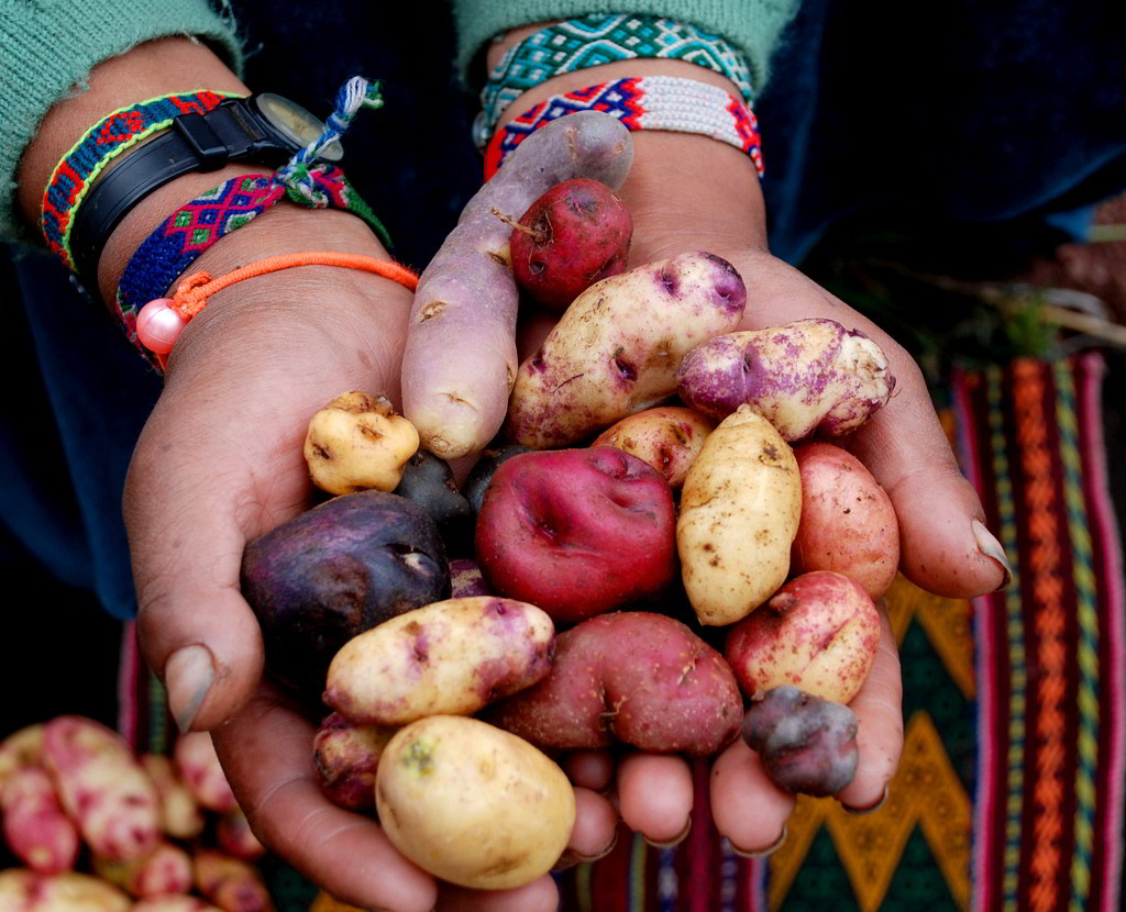 Peru culinary