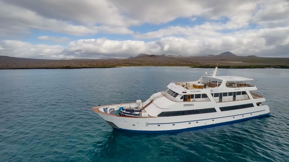 Sea Star Journey 5