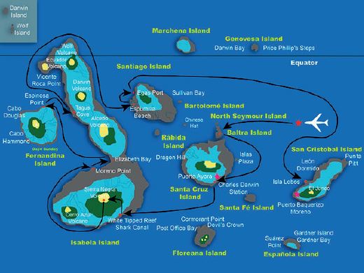 Sea star journey