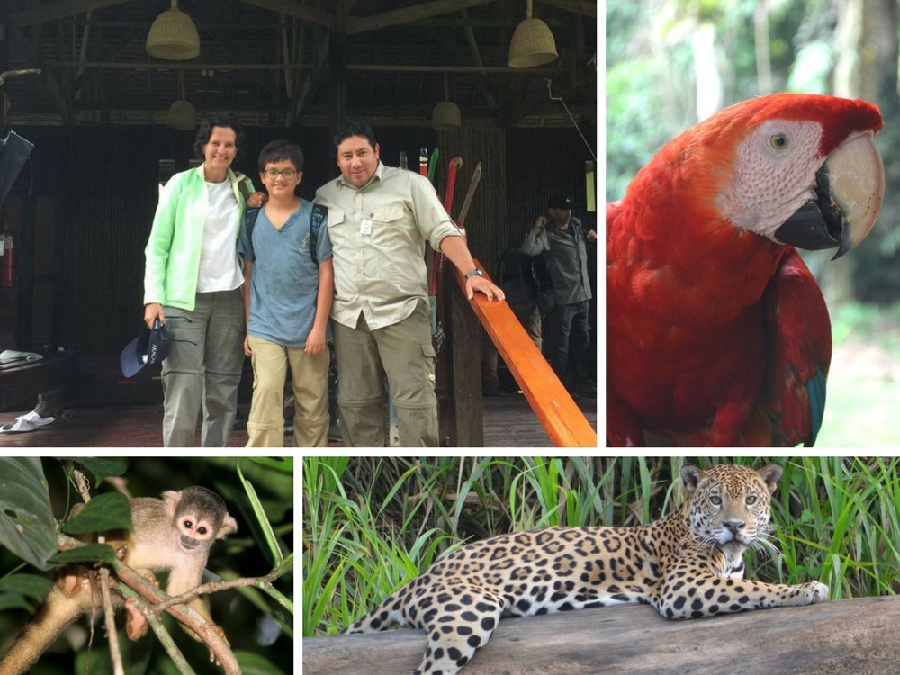Marisol luxury amazon lodge tambopata research center
