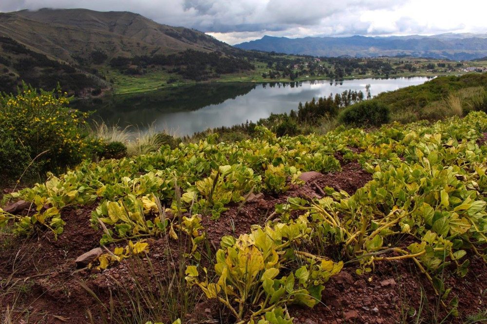 Sacred Valley