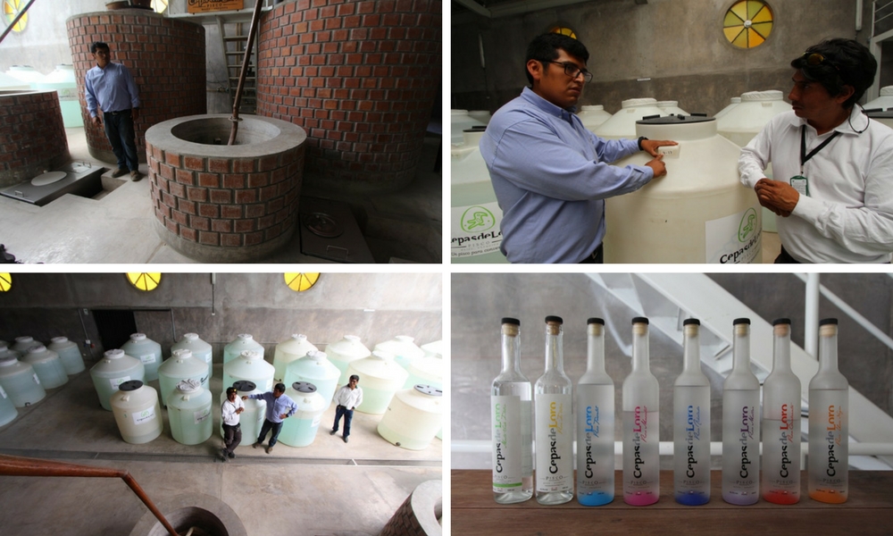 Arequipa's Pisco Route 20