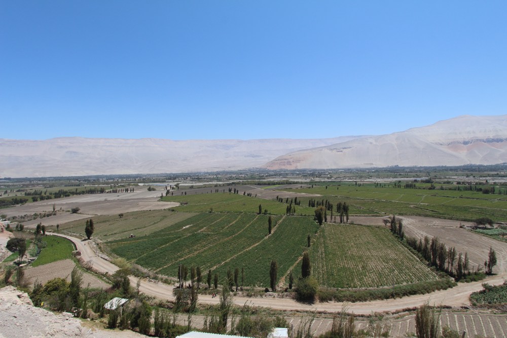 Arequipa's Pisco Route (9)