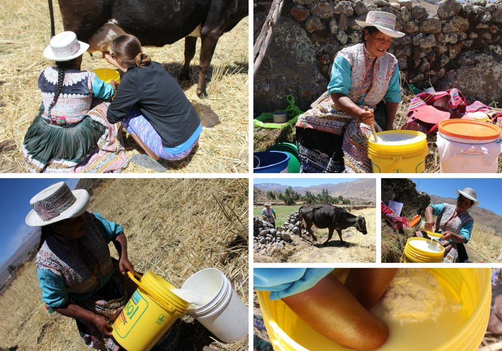 community based tourism colca field