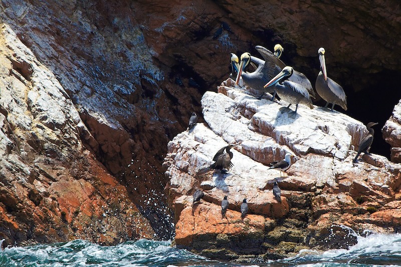 Ballestas Islands