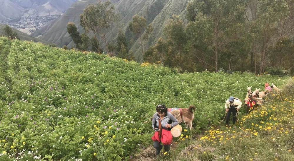 chinchero trek 5