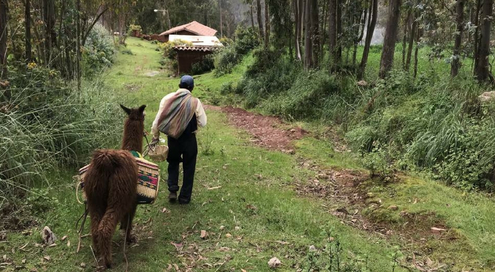 short sacred valley hike (5)