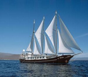 galapagos Alta Under Sail