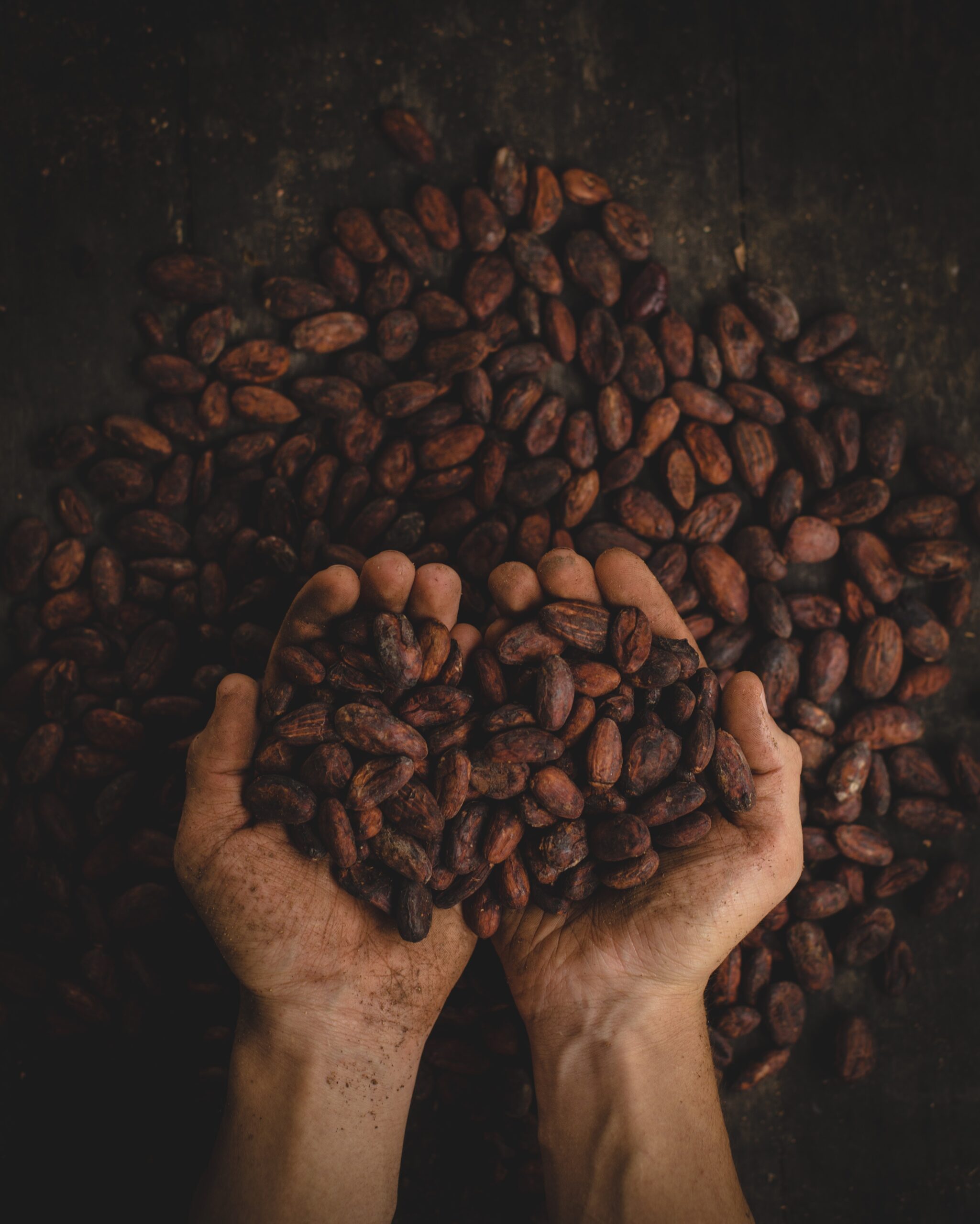 chocolate in Peru