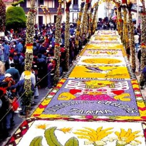 Flower Carpets Tarma Andes Peru