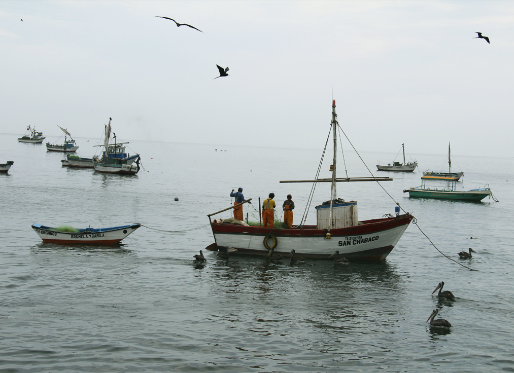 artisan fishing peru cabo blanco