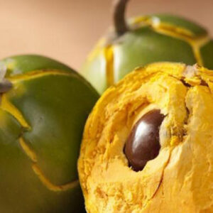 lucuma peru andes fruits peru