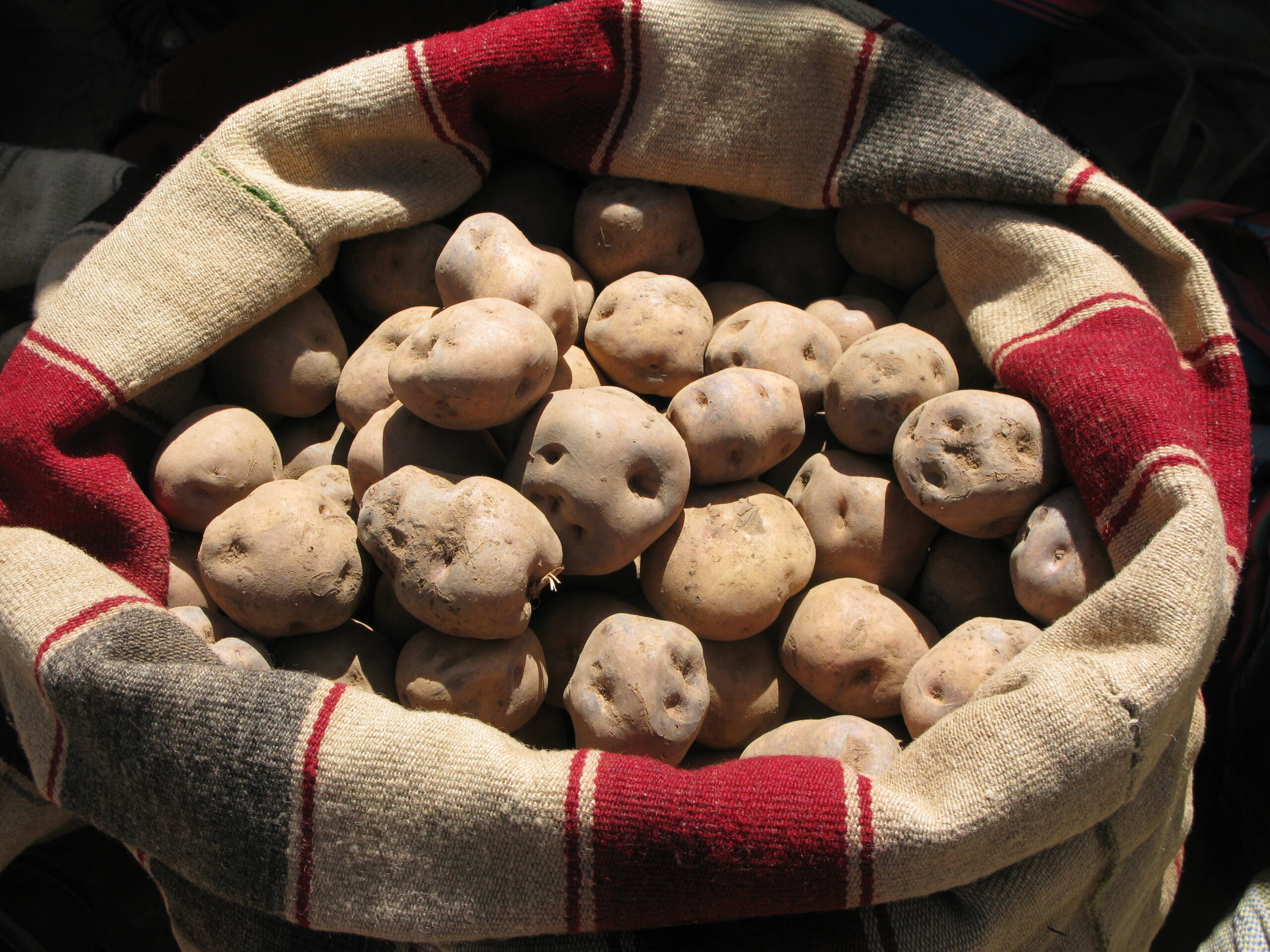Peruvian Potatoes