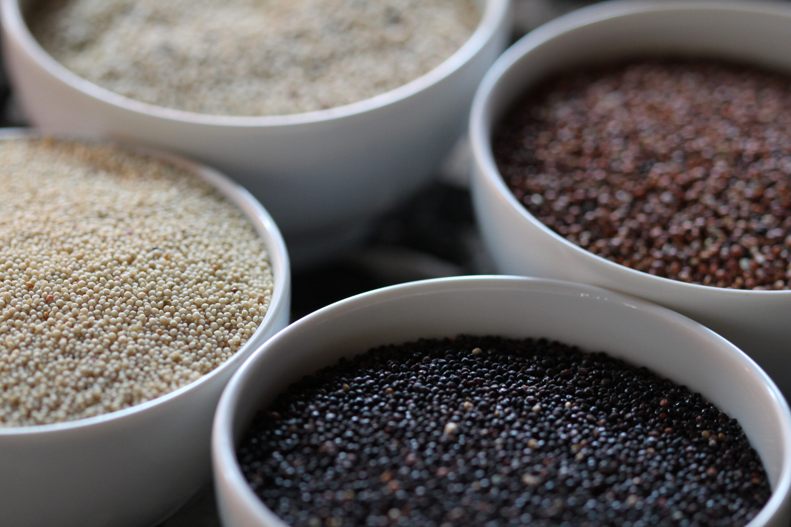quinua quinoa