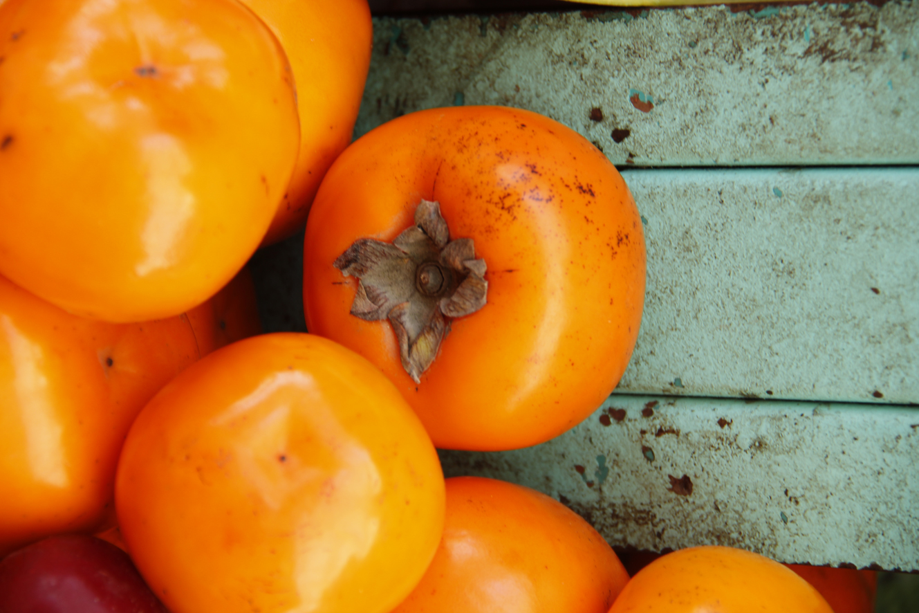 tomates sachatomates agricultura peru