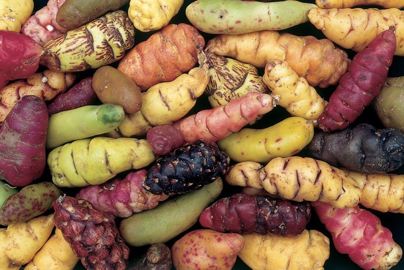 Peruvian Potatoes