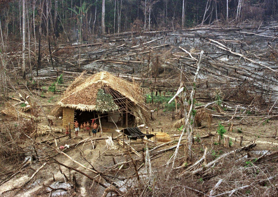 Amazon In Peru