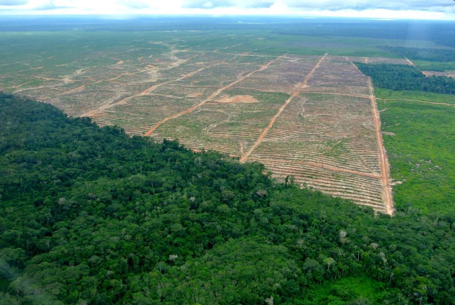 Peru Amazonas