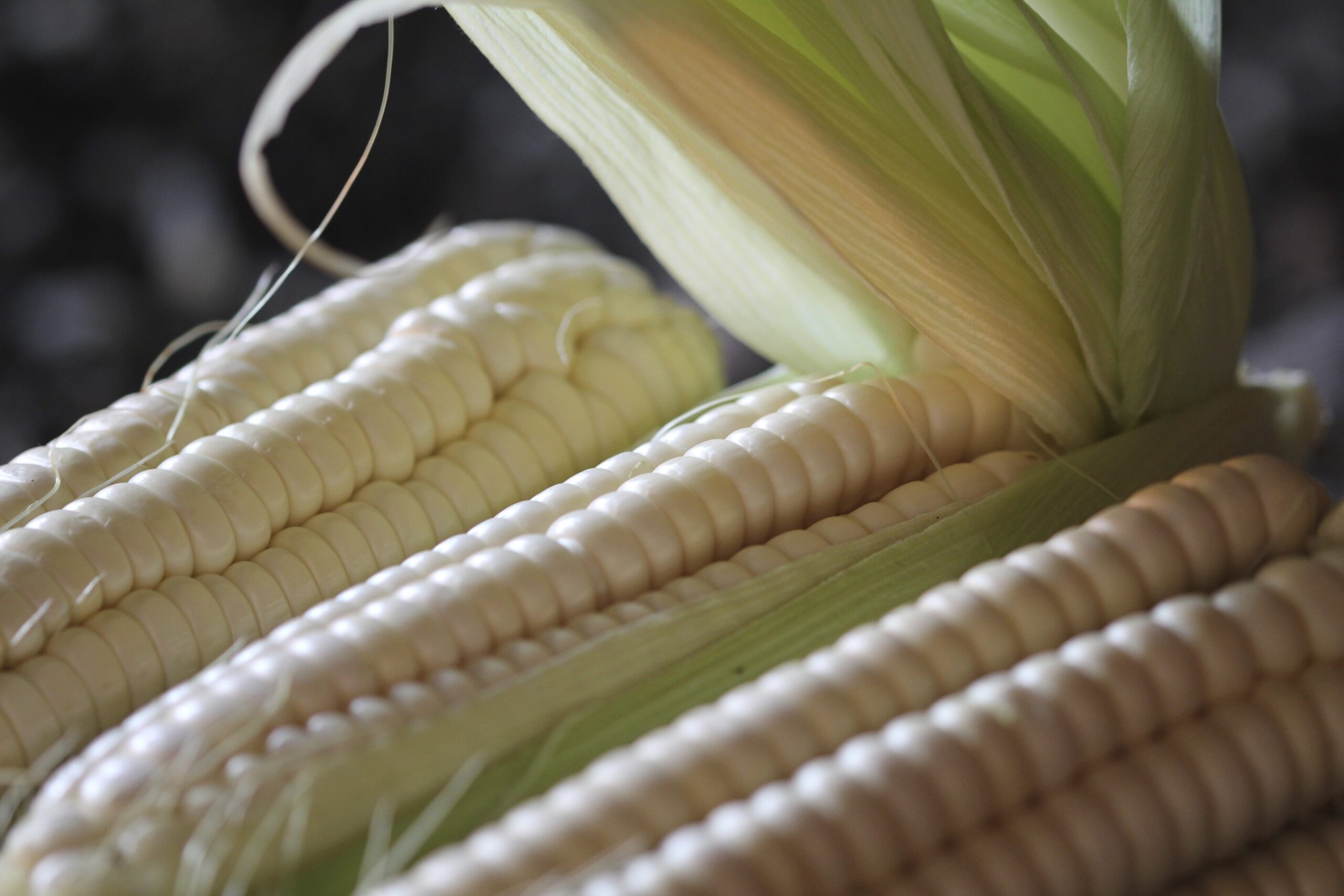 corn scaled