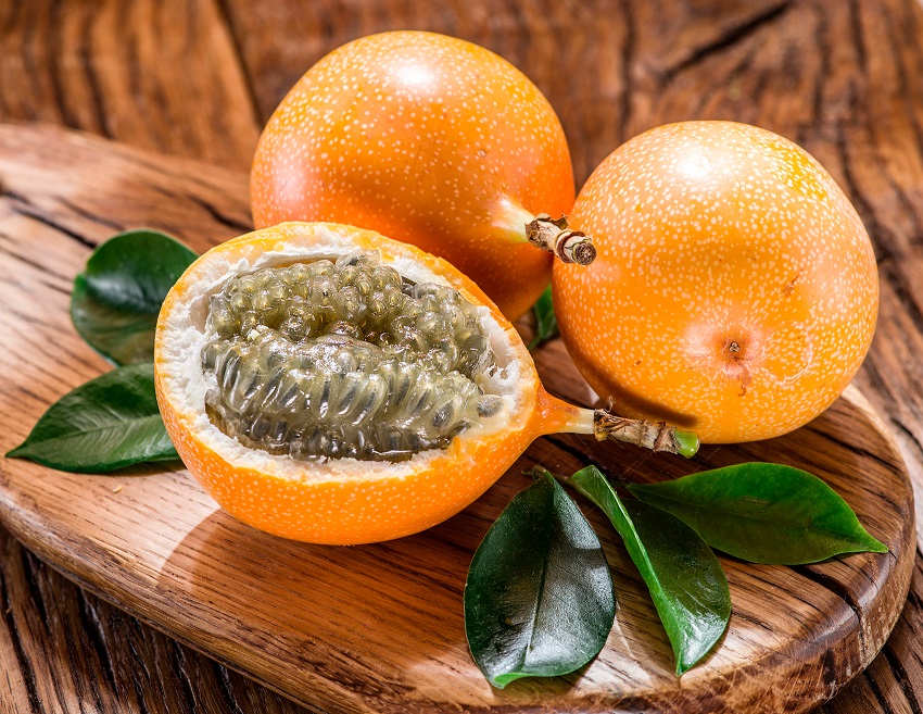 granadilla5