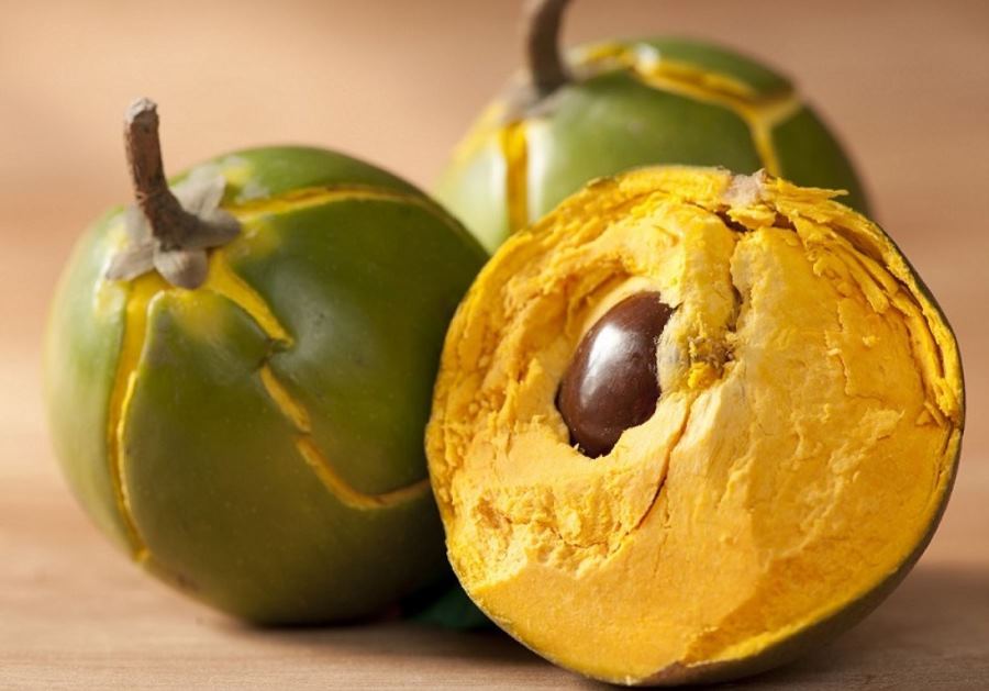lucuma 1