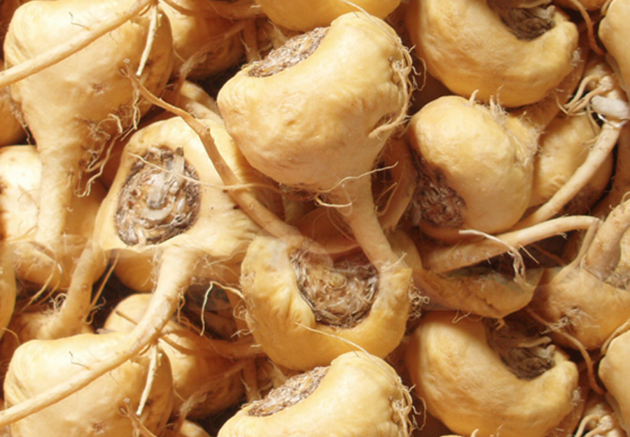 maca root e1561674776881