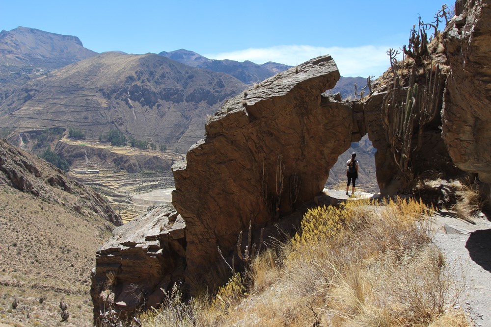 Chimpa Fortress