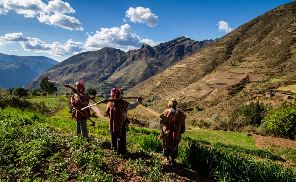 cusco huayllafara