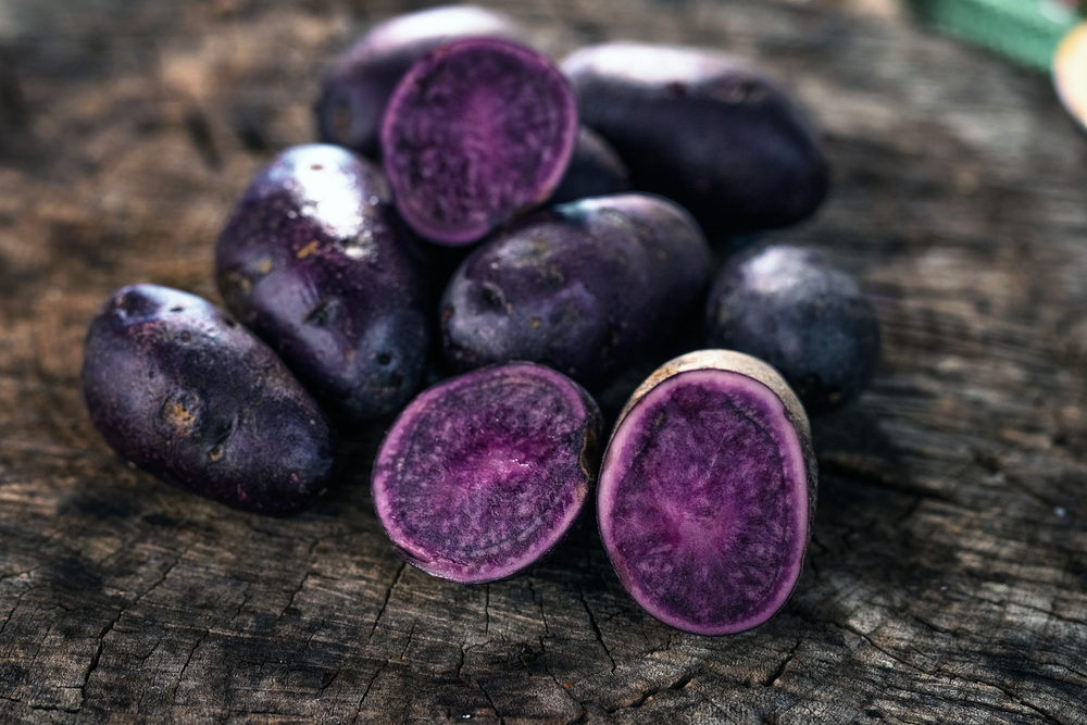 growing purple potatoes