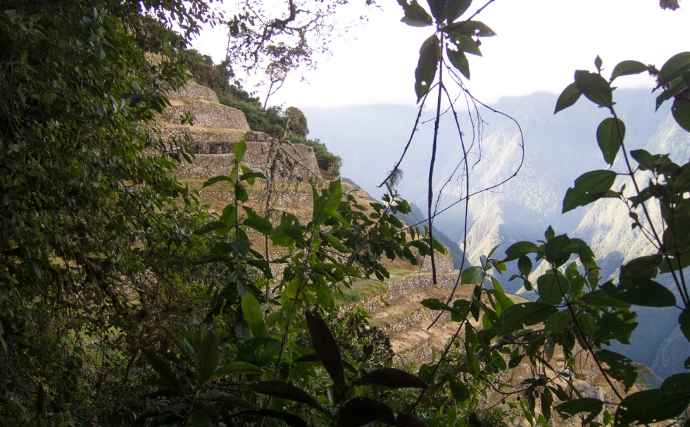 inca trail wiñaywayna