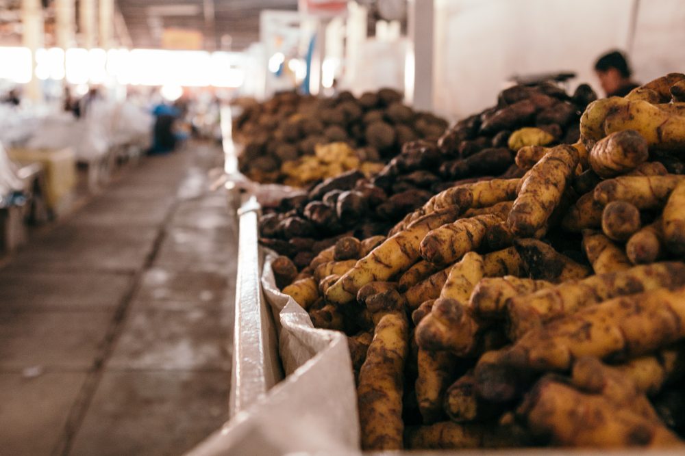 surquillo market