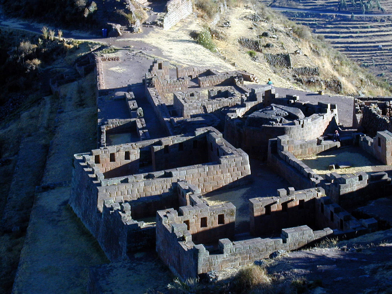 pisac aracari
