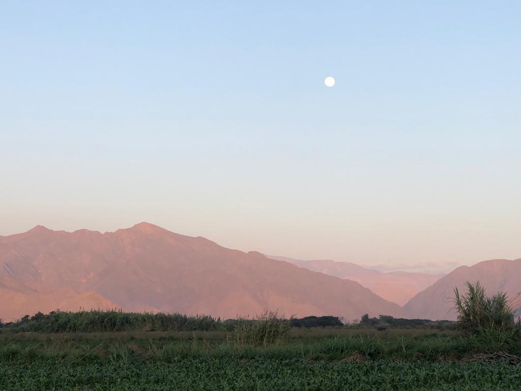 Landscape northern peru