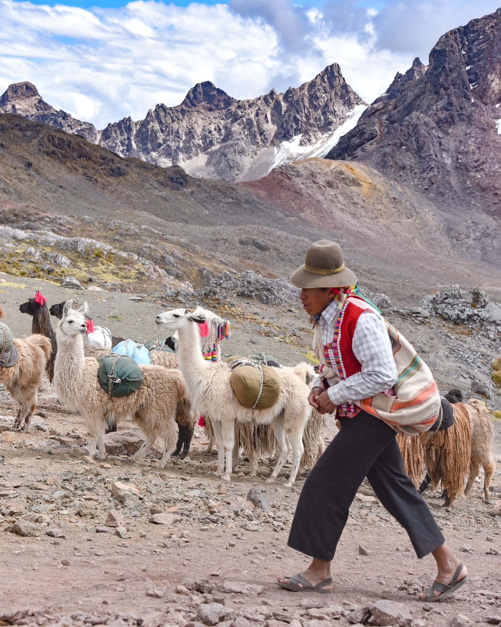Llamas Ausangate Trek
