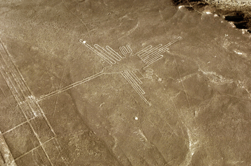aracari nazca lines