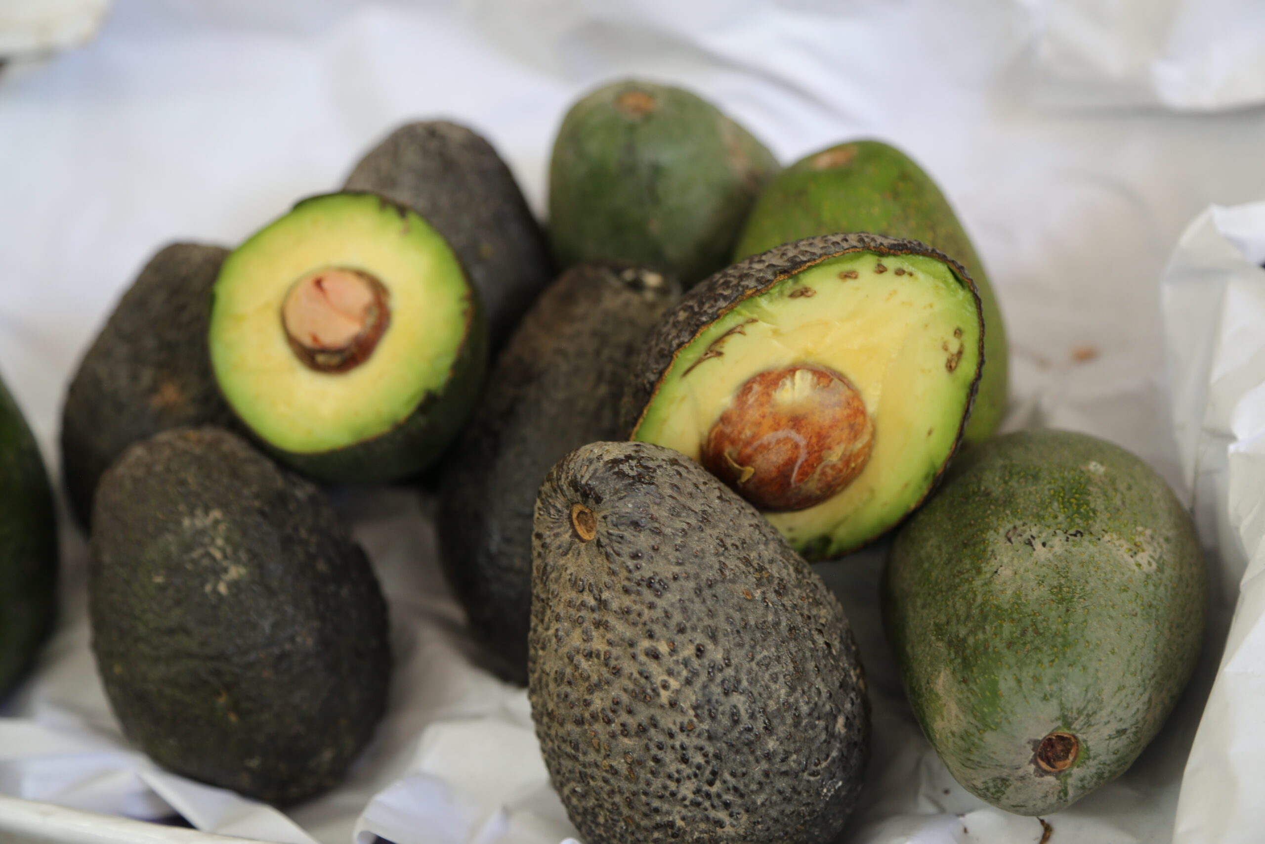 Peruvian food avocado