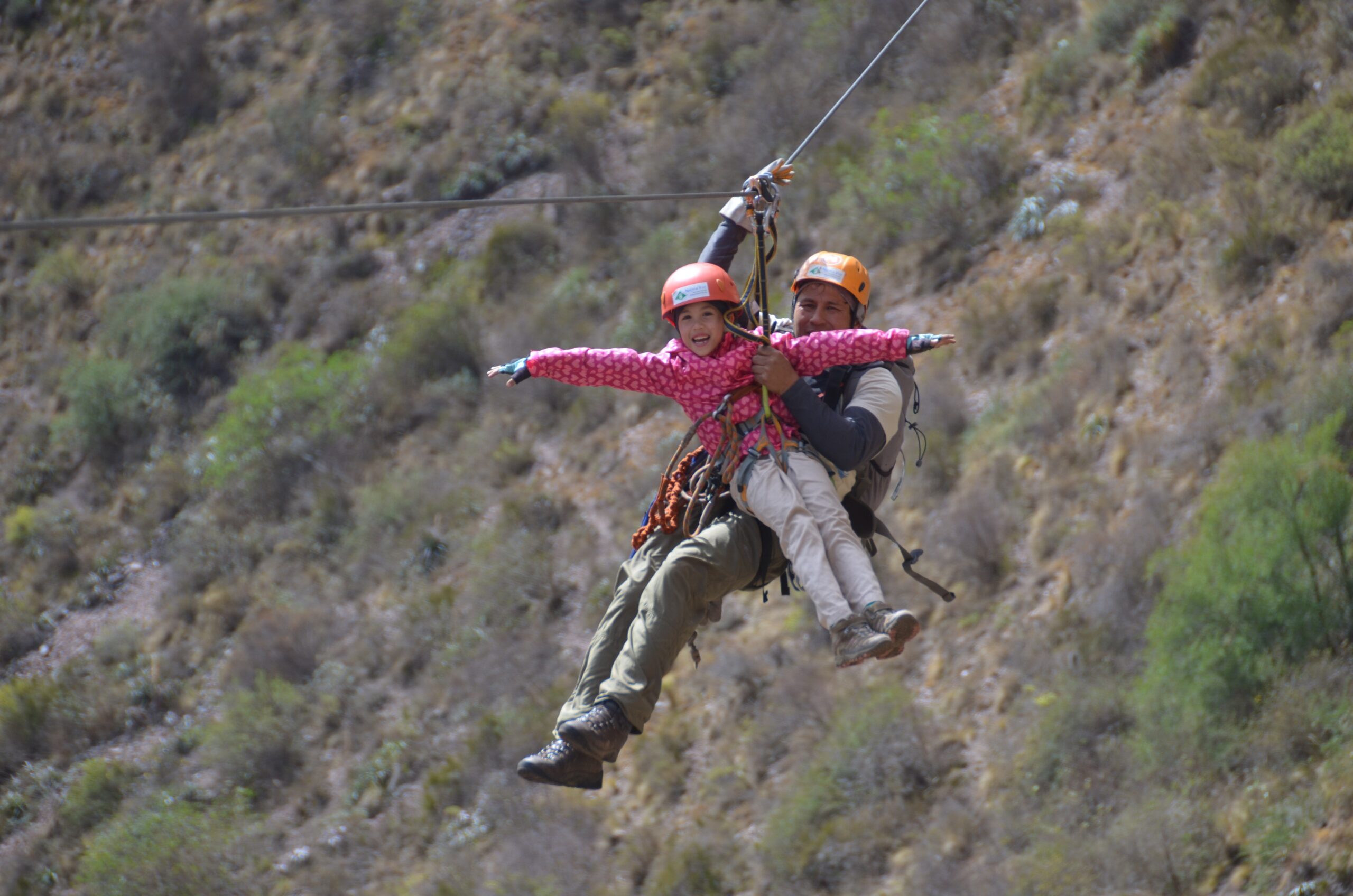 zipline aracari