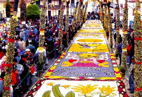 Flower Carpets Tarma Andes Peru