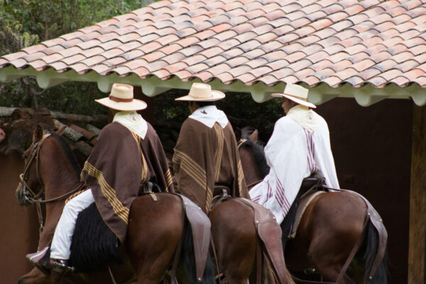 HORSES3