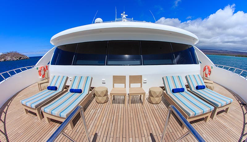 endemic yatch